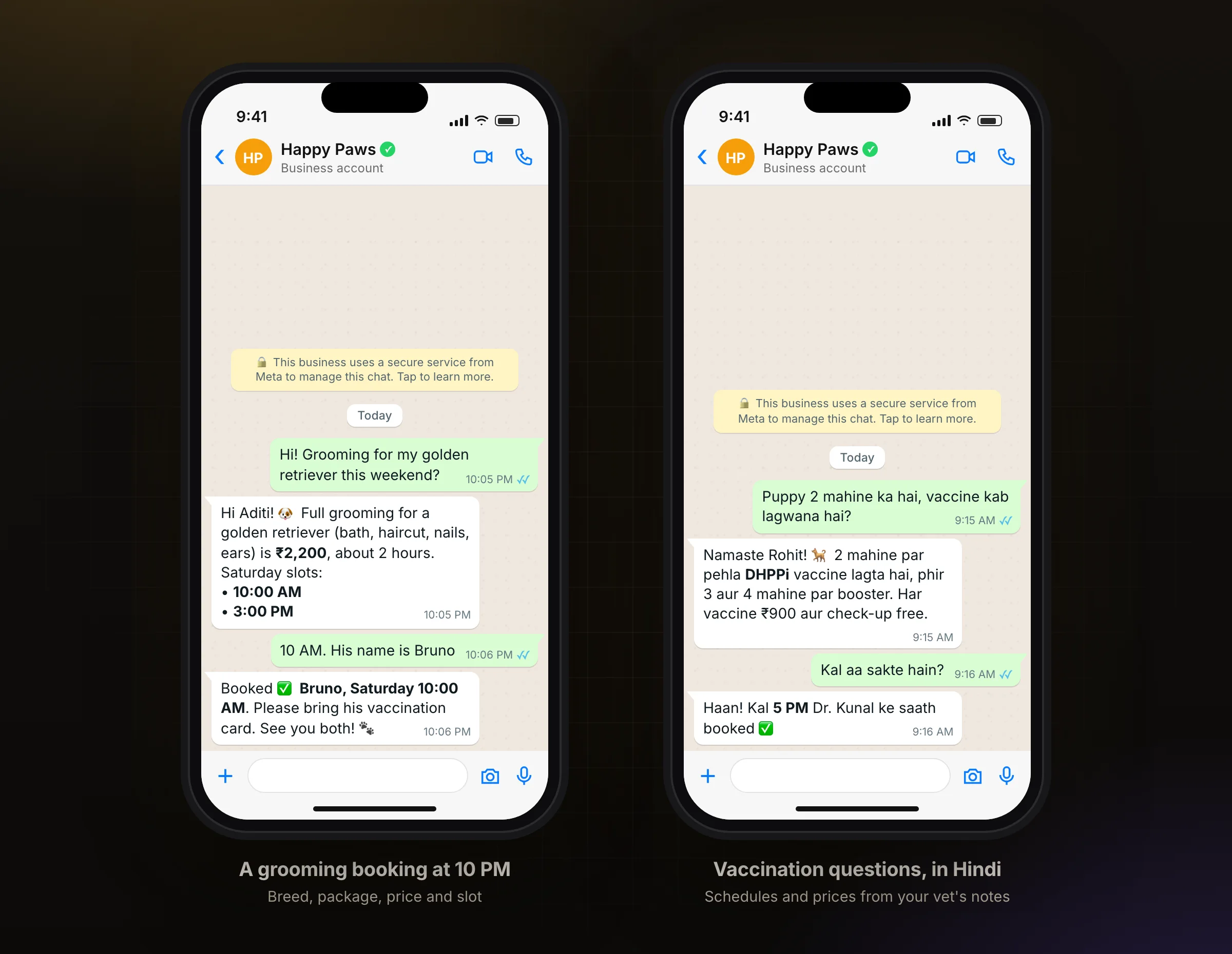 A grooming booking on WhatsApp, and a puppy vaccine question in Hindi
